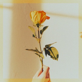 Romantic Homicide - Nightcore Cover (Cover) Sinxi & Chino