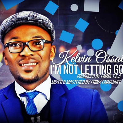 I'm Not Letting Go - Single