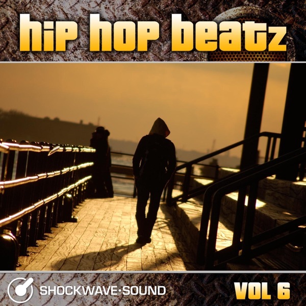 Hip-Hop Beatz, Vol. 6