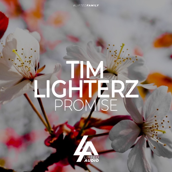 Promise - Single