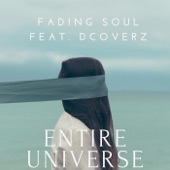 Entire Universe (feat. Dcoverz) artwork