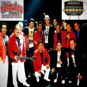 Cabaretera (feat. Acapulco Tropical) - Single