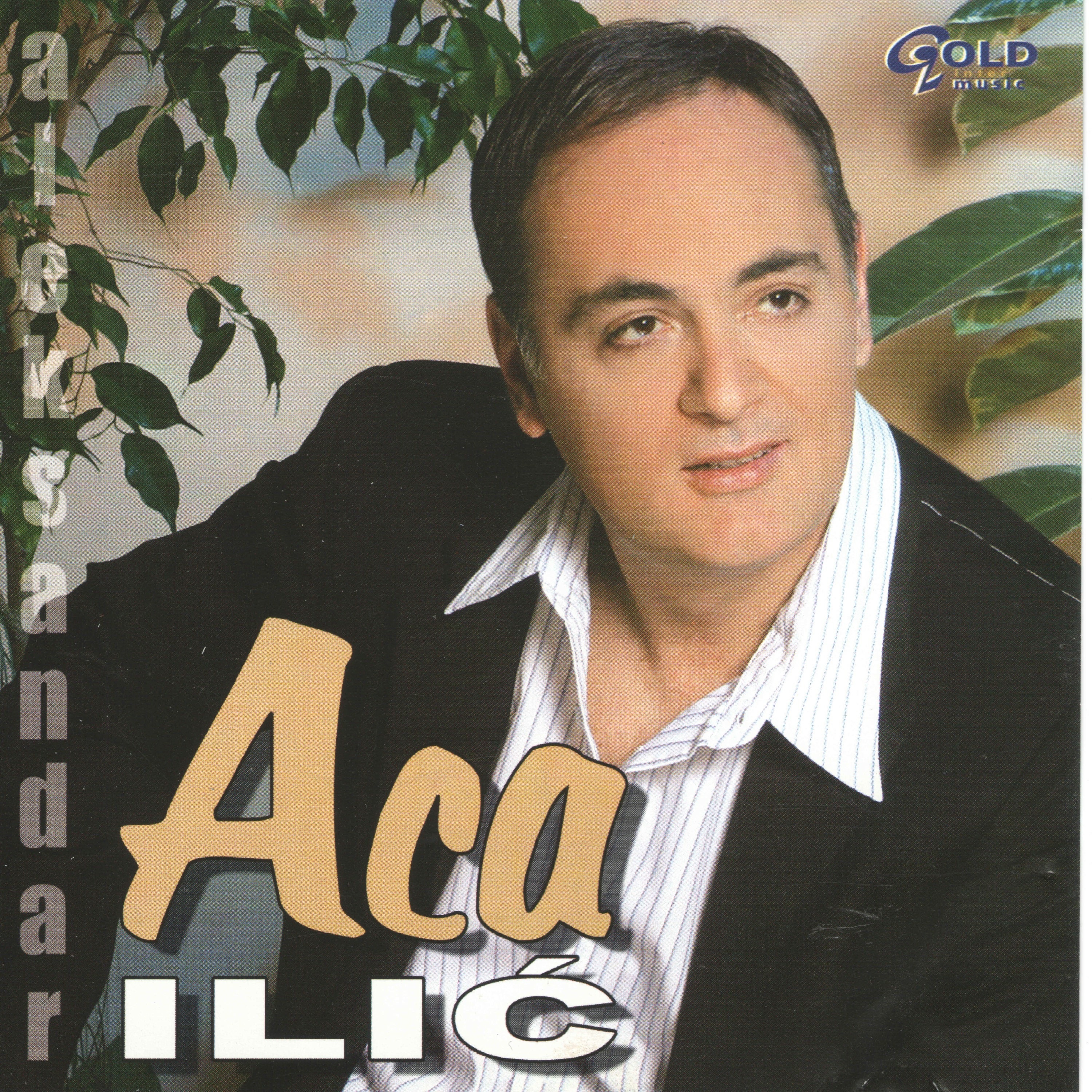 Aca Ilić