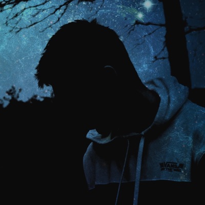 Endgame Remix (feat. Ciranda) [Remix] - Single