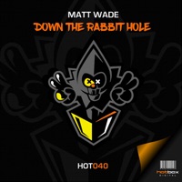 Down the Rabbit Hole - Single - Matt Wade
