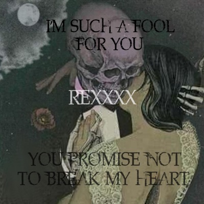 I'm Such a Fool for You (You Promised Not to Break My Heart) [feat. Dhan] -  REXXXX | Shazam