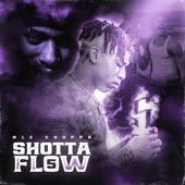 Shotta Flow 5 artwork
