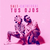 Salt Cathedral - tus ojos