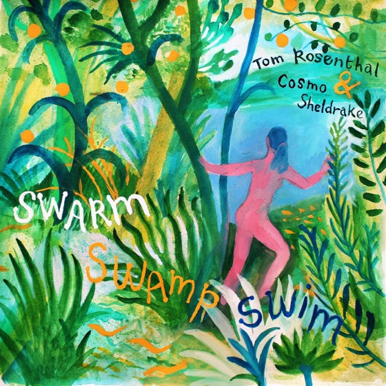Cover artwork for Swarm Swamp Swim
