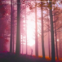 Whatever You Like (VIP Edit) - Single - Luxe Agoris