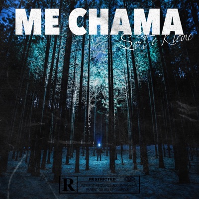 Me Chama (feat. Kleine) - Single