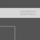An Evening with David Fedele Live