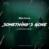 Nikko Culture - Something's Gone