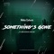 Something's Gone (Paul Lock Remix) artwork