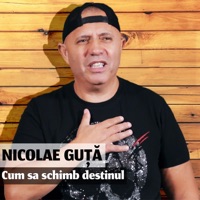 Cum Sa Schimb Destinul - Single - Nicolae Guță