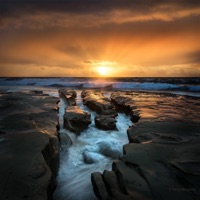 Reminiscence - Single - NeXu$