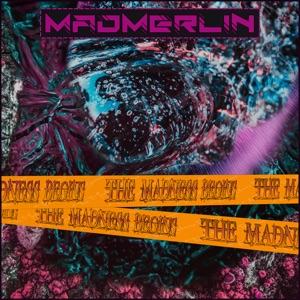 The Madness Begins - Single