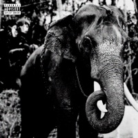 Bombay (feat. Big Baby Gandhi) - Single - Infinxte Soul & Thebuddha.