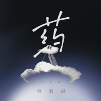 药 - Single - 曾昭昭