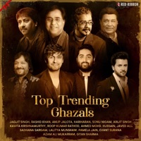 Sonu Nigam, Anup Jalota & Harsh Brahmbhatt - Hasrat Bhari Nazar