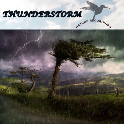Elementar Nature Sound-thumbnail