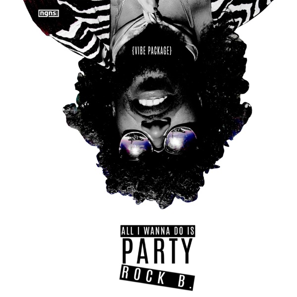 Vibe Package - Single