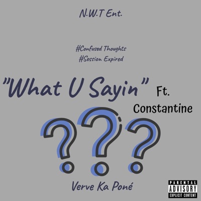 What U Sayin' (feat. Constantine) - Single