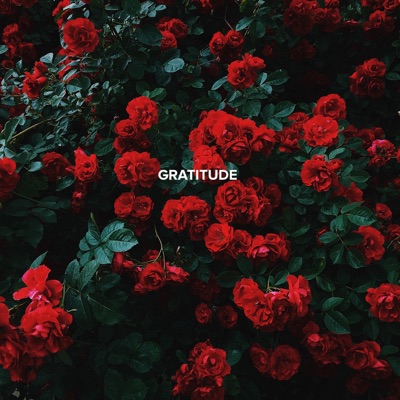 Gratitude - Single