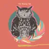 The Winking Owl - Try