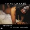 Tu No Lo Sabe (feat. Melymel & Padrino) artwork