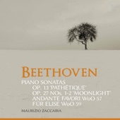 Piano Sonata No. 14 in C-Sharp Minor, Op. 27 No. 2 "Moonlight": I. Adagio sostenuto artwork