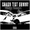 Crash Test Dummy (feat. Cruize FX) - Hitman Chris lyrics