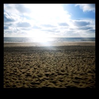 Sense - Single - Jinsei