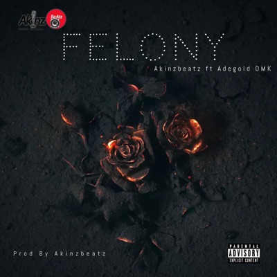 Felony (feat. Adegold OMK) - Single