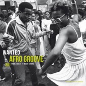 Wanted Afro Groove: From Diggers to Music Lovers artwork