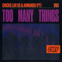 Too Many Things - Single - Chicks Luv Us & Armando