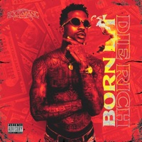 Born Lit Die Rich - Rootabang