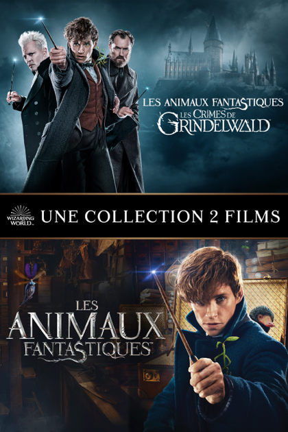 Les Animaux Fantastiques Collection 2 Films Fantastic Beasts 2 Film Collection On Itunes