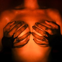 Stay the Night - Single - Kyle Dion