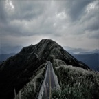 路