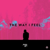 The Way I Feel (feat. ALIUS) - Single - Dustin Miles