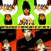 Let Me in (feat. Micah Metje) - Single - Metalecalec