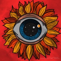 Expectations Freed - Luiz Arreguin