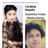 Toi Bhal Napale - Sushmita Trisha & Dikshu Sarma