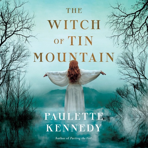 The Witch of Tin Mountain cover