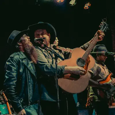 Luckenbach, Texas (Back to the Basics of Love) [feat. Nik Lee] - Single - Cody Jinks