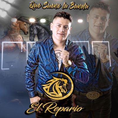 Sonando Con la Banda - Single