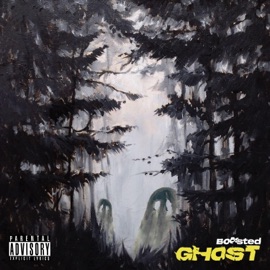 Ghost B00sted