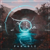 Parable - Cardinal Roy