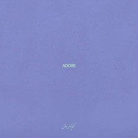Adore - Single - Jon Vinyl